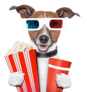 dog holding popcorn and soda
